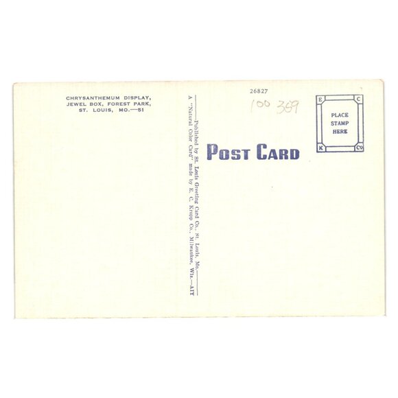 Vintage Postcard Chrysanthemum Display Jewel Box Forest Park St Louis MO Linen - Picture 2 of 2